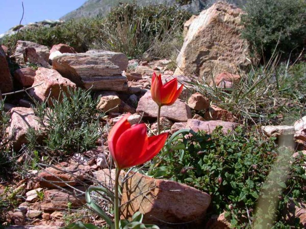 Paysages -Printemps -Eté