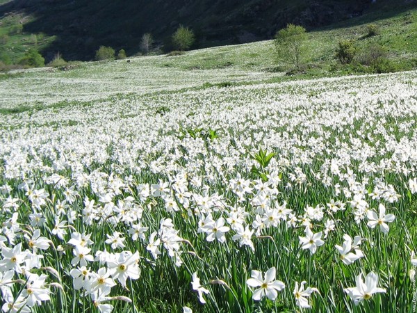 Paysages - Printemps-Eté