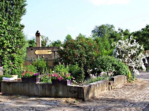 Beau village de Rodemack