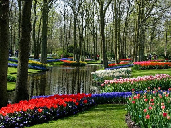 Parc en fleurs