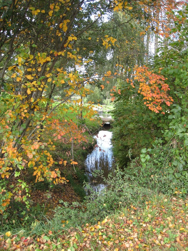 Paysage d'automne