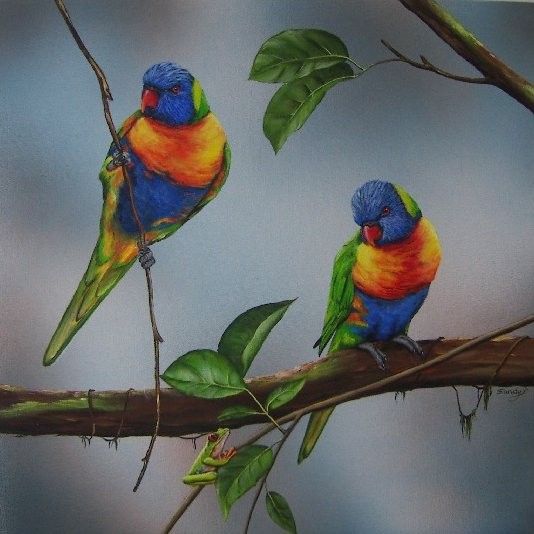 Superbe peintures d'oiseaux