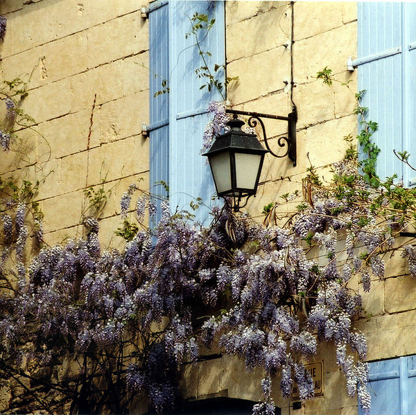 Beau village de Saint-Léon-sur-Vézère