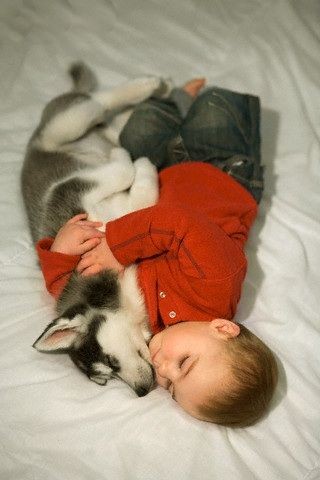 Enfant et leur animal