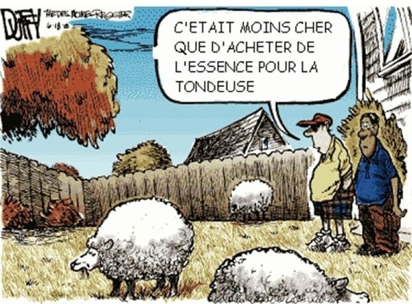 Humour 