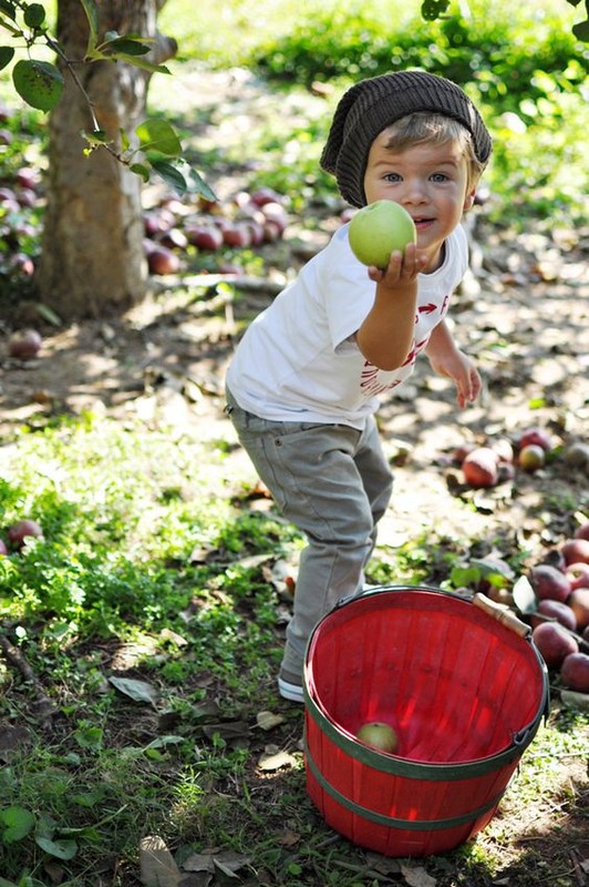 Le temps de l'innocence