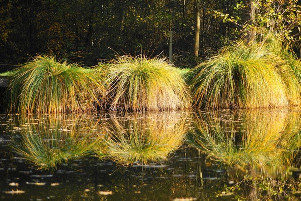 Paysages d'automne