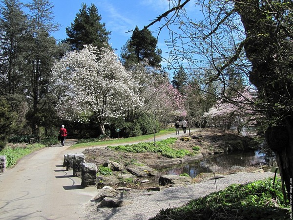 Paysages -Printemps -Eté