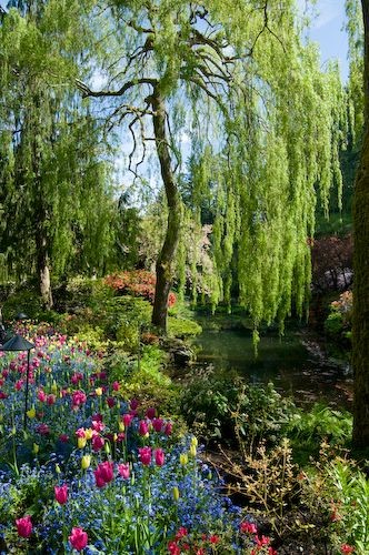 Parc et jardin  fleuris 