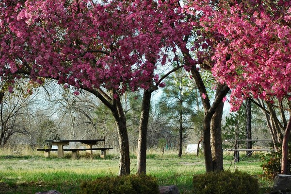 Paysages -Printemps -Eté