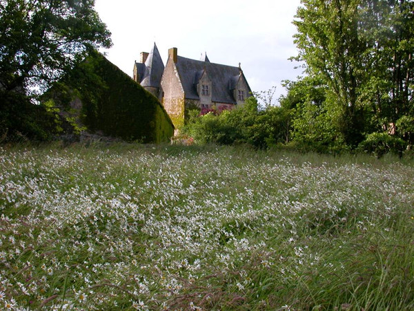 Paysages -Printemps -Eté