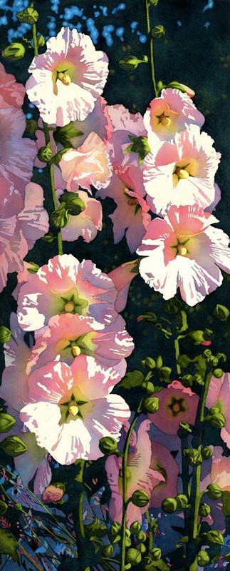 Fleurs de Chris Beck