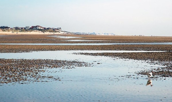 Plage du Nord - Pas de Calais