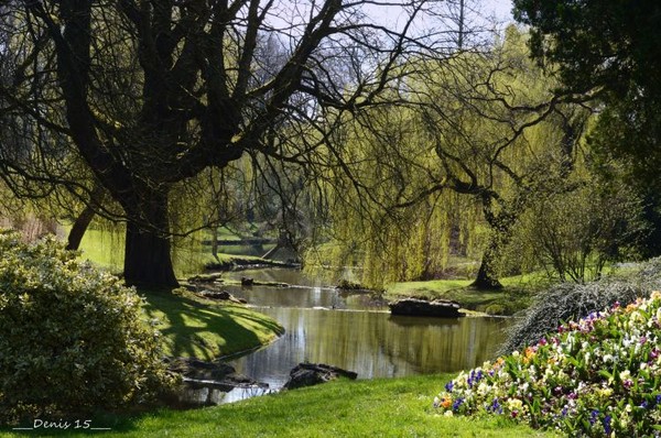 Parc  fleuri