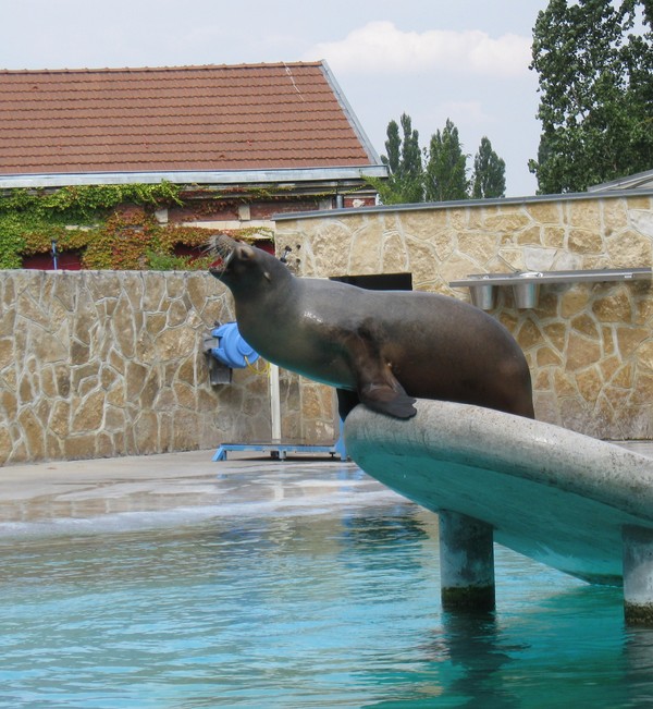 Zoo d' Amiens- 2012