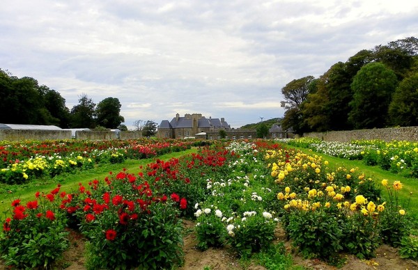 Paysages -Printemps -Eté