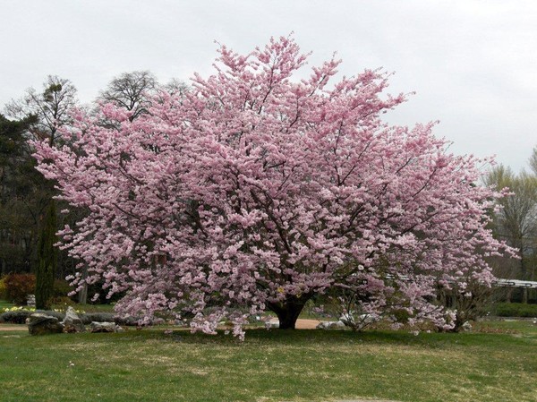 Paysages - Printemps-Eté