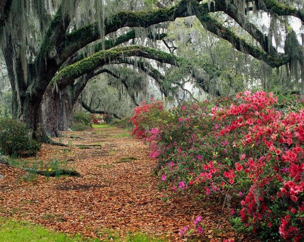 Parc fleuri