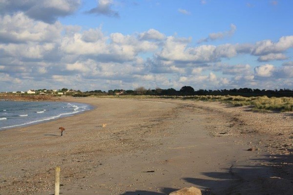 Plage de Basse Normandie (Manche)