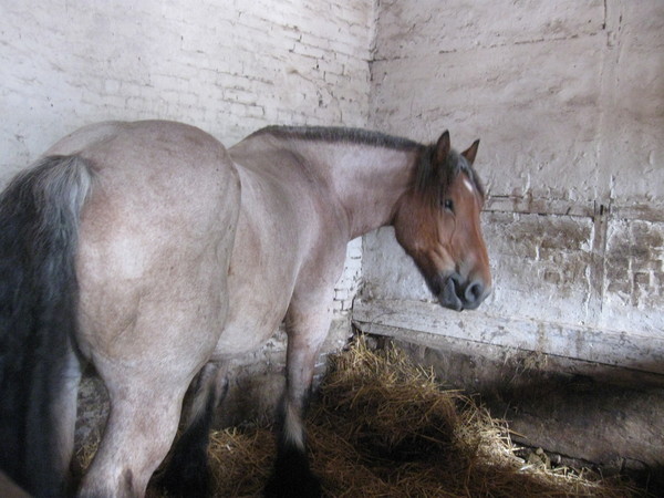 La ferme d'Antan - Creuse(2011)