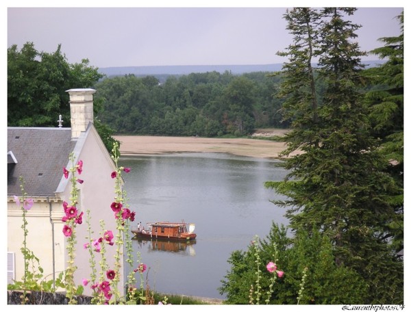 Beau village de Montsoreau