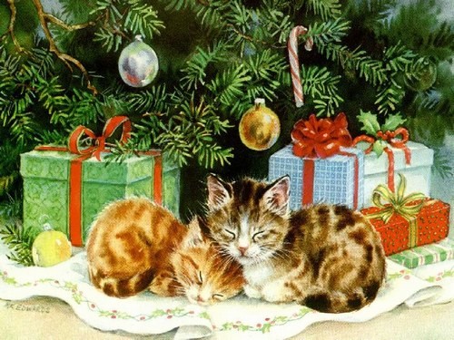 Chatons de Noël