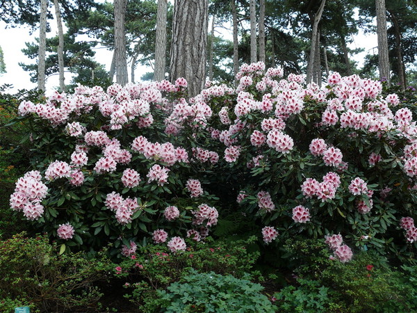 Paysages -Printemps -Eté