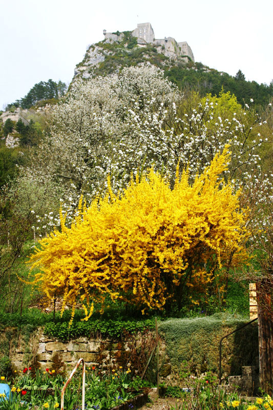 Paysages - Printemps-Eté