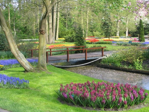 Parc  fleuri