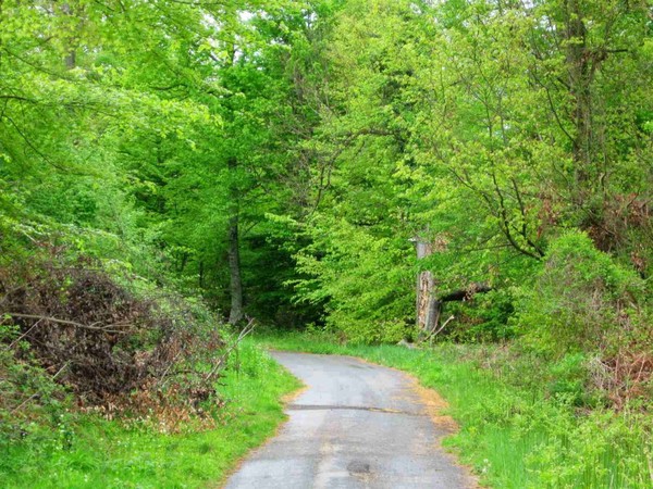 Paysages - Printemps-Eté