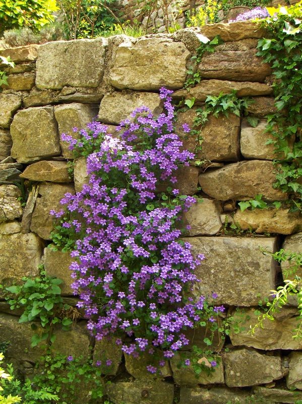 Paysages -Printemps -Eté