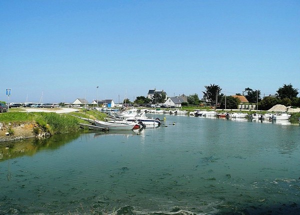 Plage de Basse Normandie (Manche)