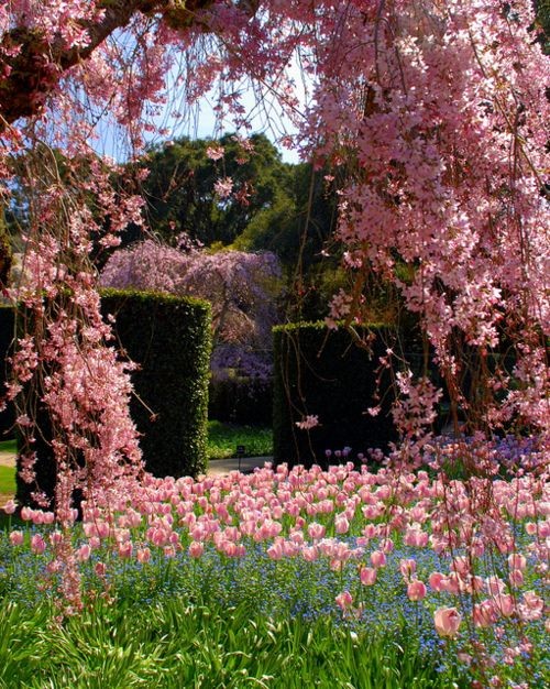 Parc et jardin  fleuris 