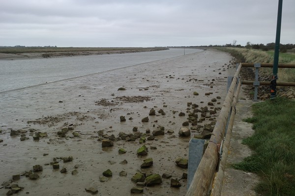 Plage de Basse Normandie (Manche)