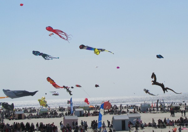 Berck sur Mer -Cerfs Volants 2015