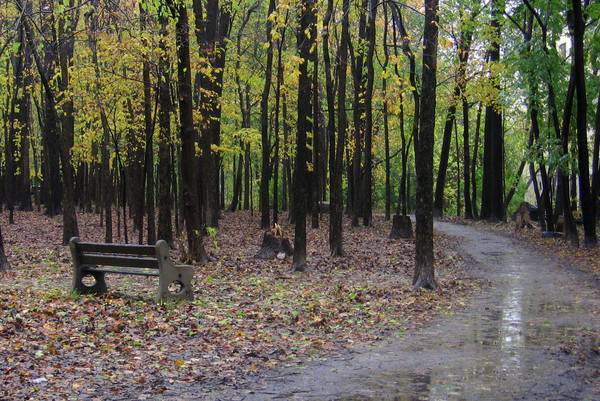 Paysage d'automne