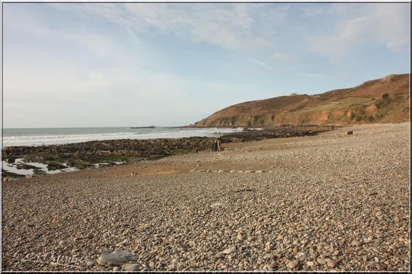 Plage de Basse Normandie (Manche)