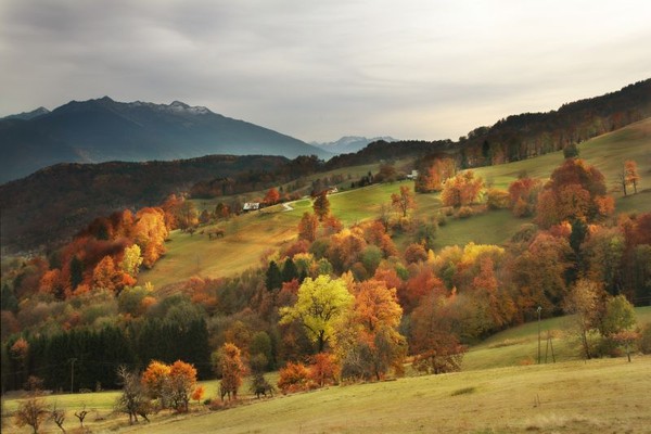 Paysage d'automne