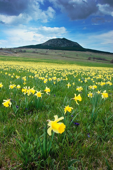 Paysages - Printemps-Eté