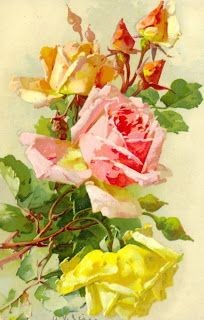 Fleurs de Catherine Klein