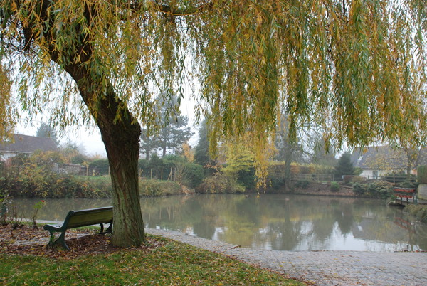 Paysage d'automne