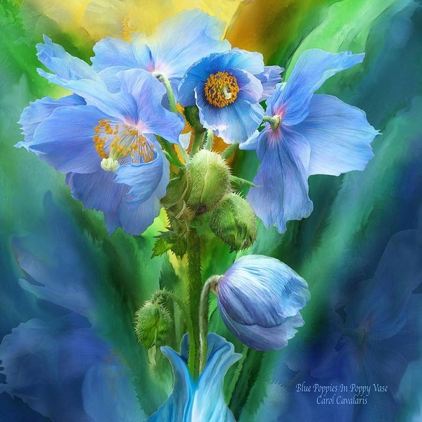 Fleurs de Carol Cavalaris