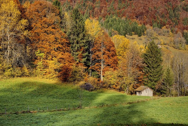 Paysage d'automne