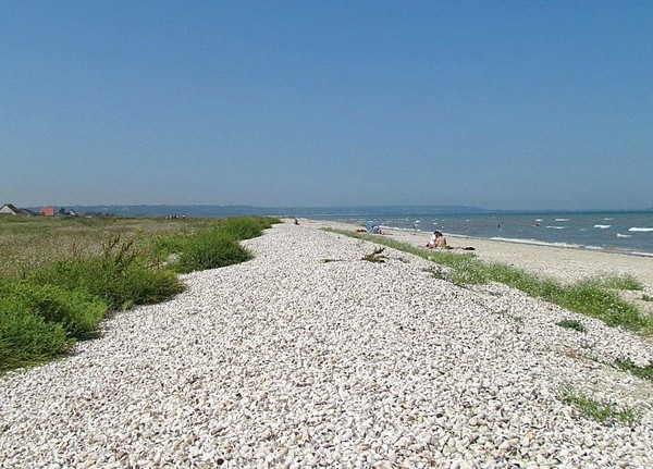 Plage de Basse Normandie (Manche)