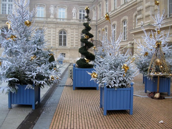 Amiens - Marché de noël 2008