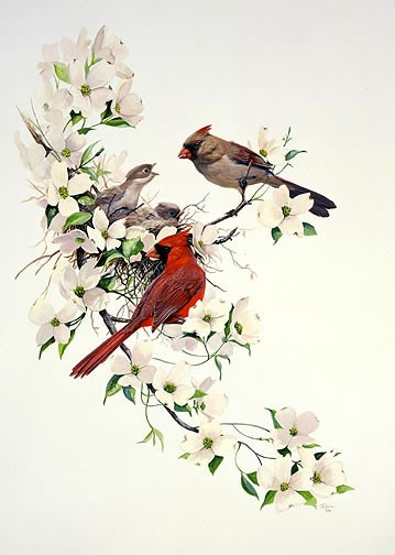 Oiseaux de Linda Picken