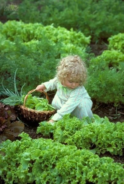 Le temps de l'innocence