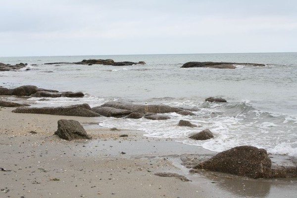 Plage de Basse Normandie (Manche)