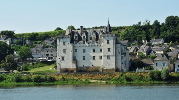 Beau village de Montsoreau