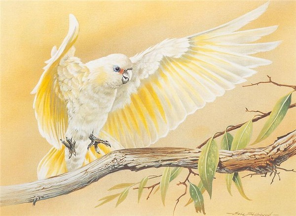 Superbe peinture d'oiseaux